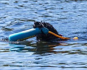 Gabi Sue