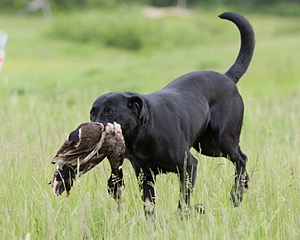 20080531-HRL-0301.jpg