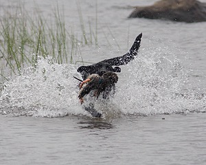 20080531-HRW-1054.jpg