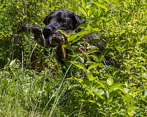 20170716-WCXW-1225.jpg
