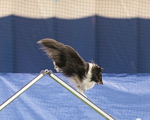 20150321-LEAP-1662.jpg