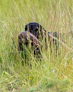 20170806-JHL-0005.jpg