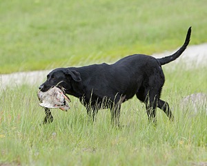 20080531-HRL-0374.jpg