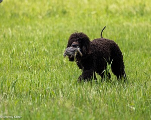 20220613-WD-0500.jpg