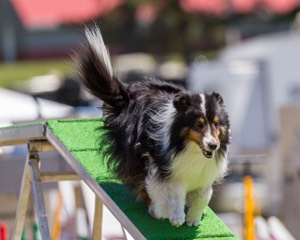 20180617-1343.jpg