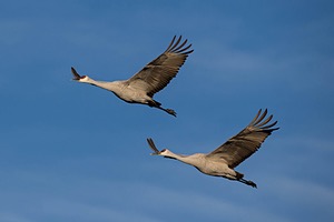 20151210-0287.jpg