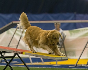 20150321-LEAP-0520.jpg