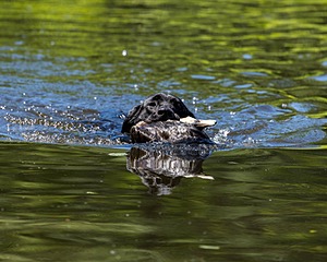 20220604-SHW-2335.jpg