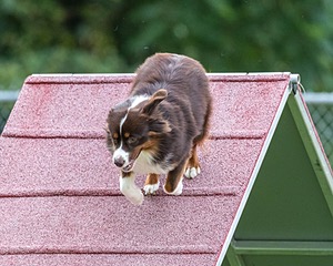 20200819-2800.jpg