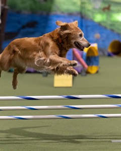 20260221-0707.jpg