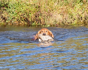 Canoe Lantiegne