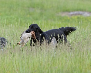 20080531-HRL-0228.jpg
