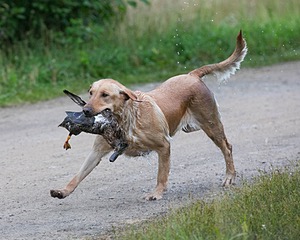 20130713-MHB2-0336.jpg