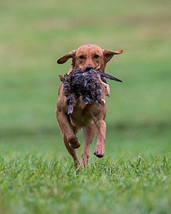 20150913-SEAL-0408.jpg