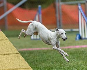 20200819-1808.jpg