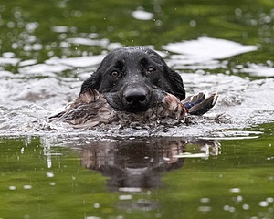 20130713-MHB2-0055.jpg