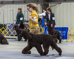 16 - GCH EPIK'S IN OMNIA PARATUS CGC ATT BCAT (Myna)