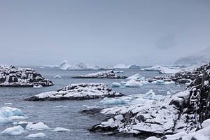 20260321-0187.jpg