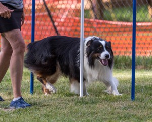 20200819-2792.jpg