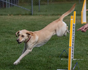 20200819-0429.jpg