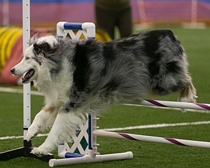 20150321-LEAP-0368.jpg
