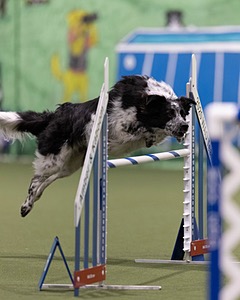 20260221-0213.jpg