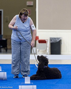 R15 - GCH CH LANDACRE'S NORDIC SAILOR DN CGC TKI