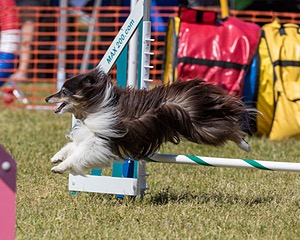 Daisy Witting