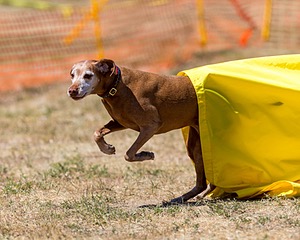 20160619-CCKC-1418.jpg