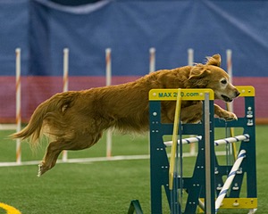 20150321-LEAP-0790.jpg