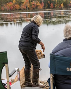 Striper Cardello