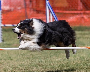 20200819-2212.jpg