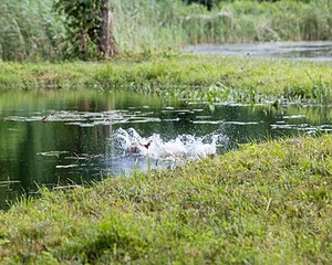 20200809-SHW-0062.jpg