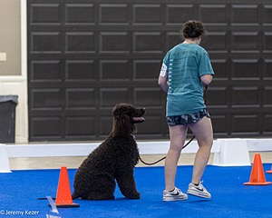 R23 - POOLE'S IDE THE MORE THE MERRIER RN