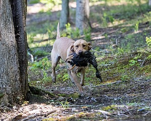 20220604-SHW-1957.jpg