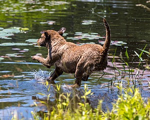 20210606-SEAW-1146.jpg