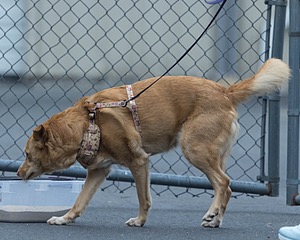 20260718-NSKC-0531.jpg