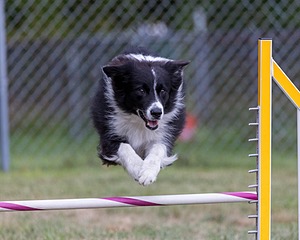 20200819-1892.jpg
