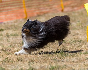 20160619-CCKC-1252.jpg