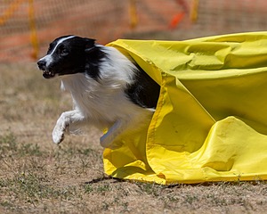 20160619-CCKC-1344.jpg