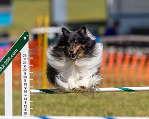 20180617-1351.jpg