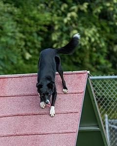 20200819-0230.jpg