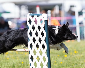 20160514-NEAT-0299.jpg