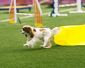 20150322-LEAP-0152.jpg