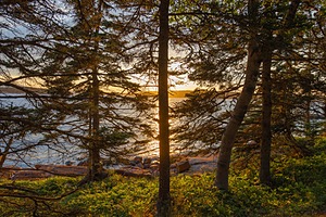 20180708-1110.jpg
