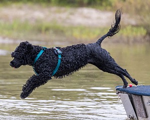 Kayla Ratner