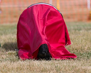 20150613-CCKC-0027.jpg