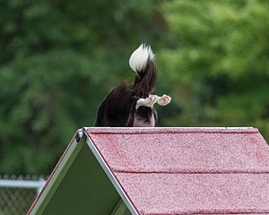 20200819-1917.jpg
