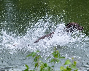 20210725-SHW-0020.jpg