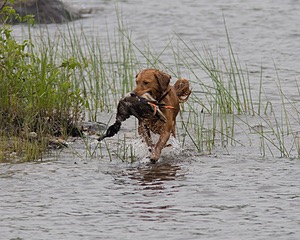 20080531-HRW-0244.jpg